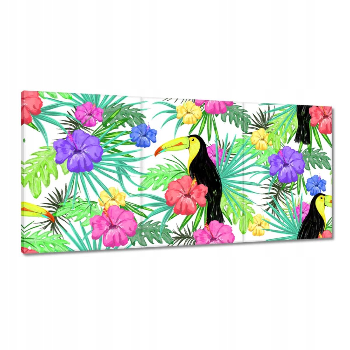 Obrazy 180x90 Monstera Tukan Hibiskus