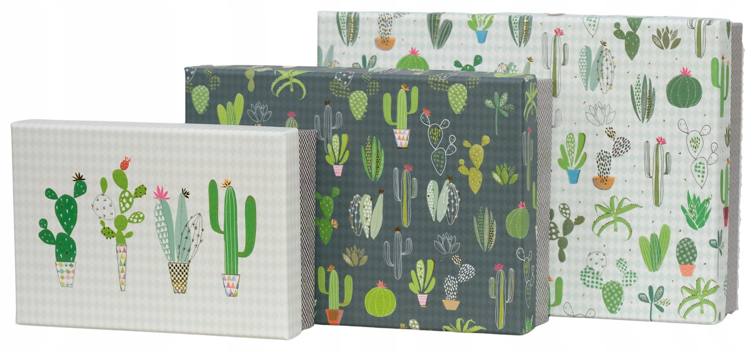 

Zestaw 3 pudełek Goldbuch Cactus Box