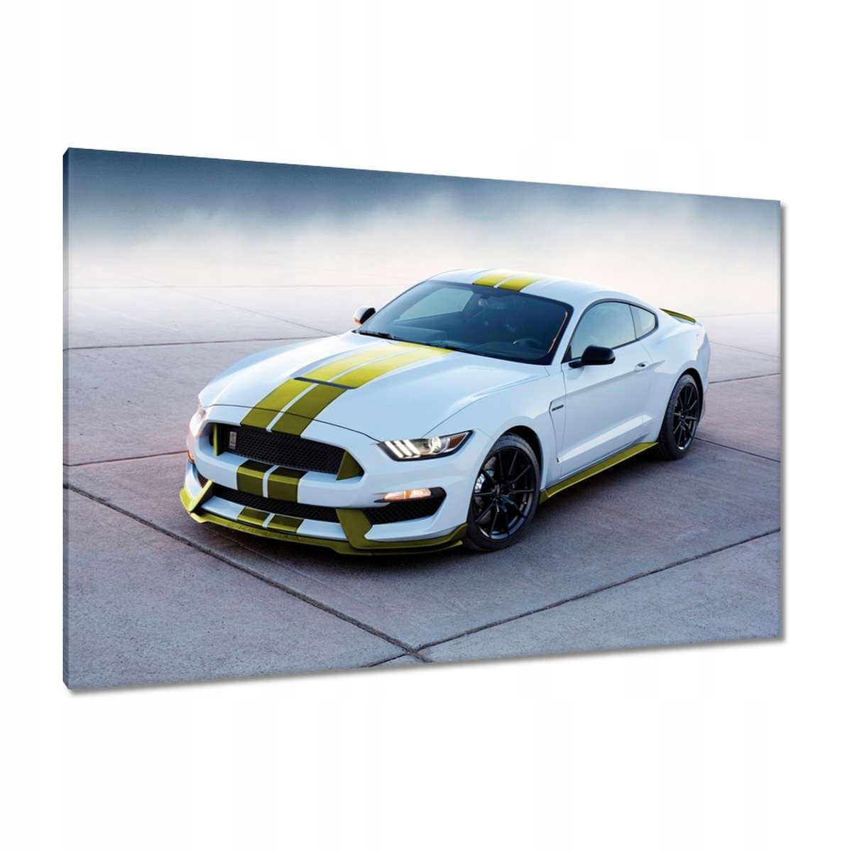 Obrazy 120x80 Mustang Ford Auto