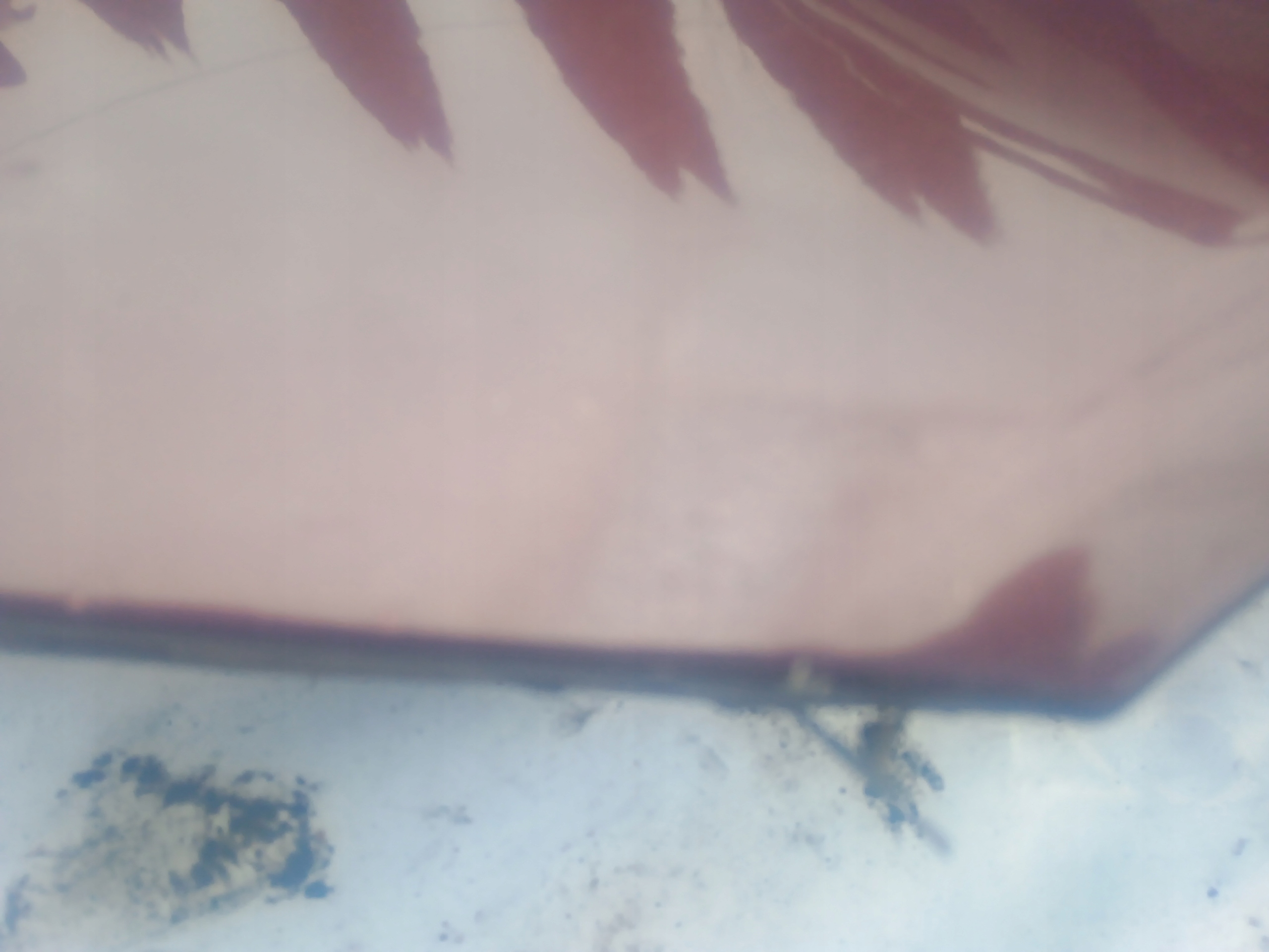 fender front left MERCEDES W211