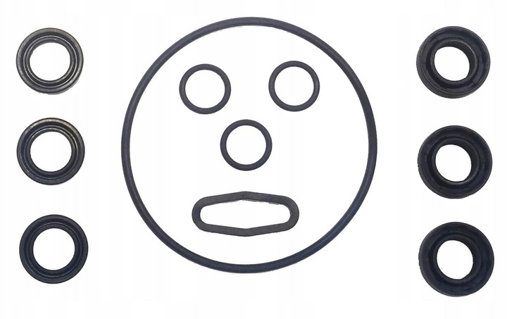 ZESTAW NAPRAWCZY KOMPLET USZCZELNIEŃ POMPY DO WSZYSTKICH MYJEK LAVOR