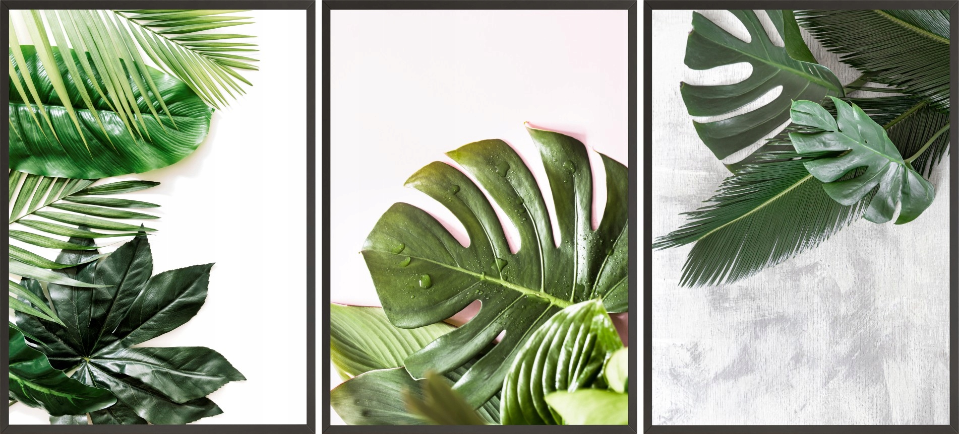 

Plakaty 3x 50x70 liście monstera tropiki tryptyk