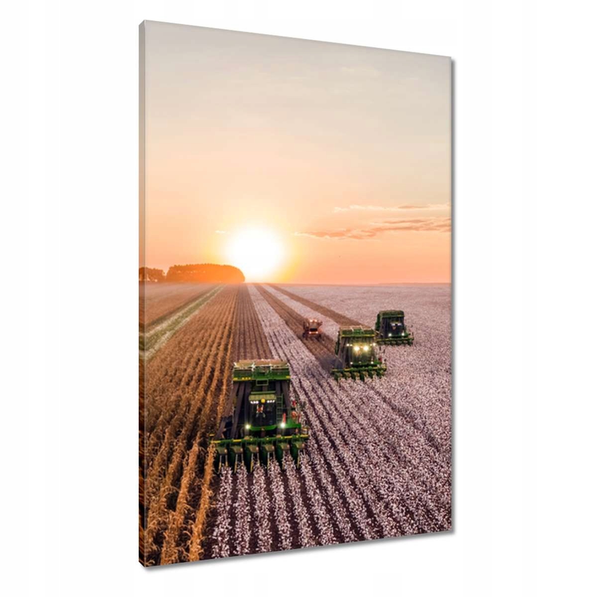 Obrazy 60x90 Žně Zemědělství Kombajny
