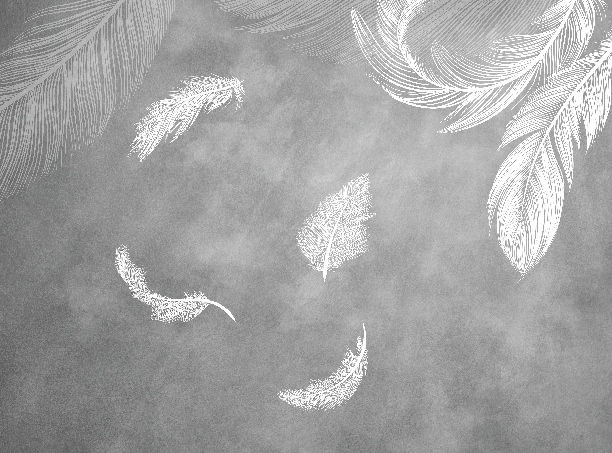 Fototapeta Perie na betóne Minimalistická 350 x 260 cm, vlies 230 g