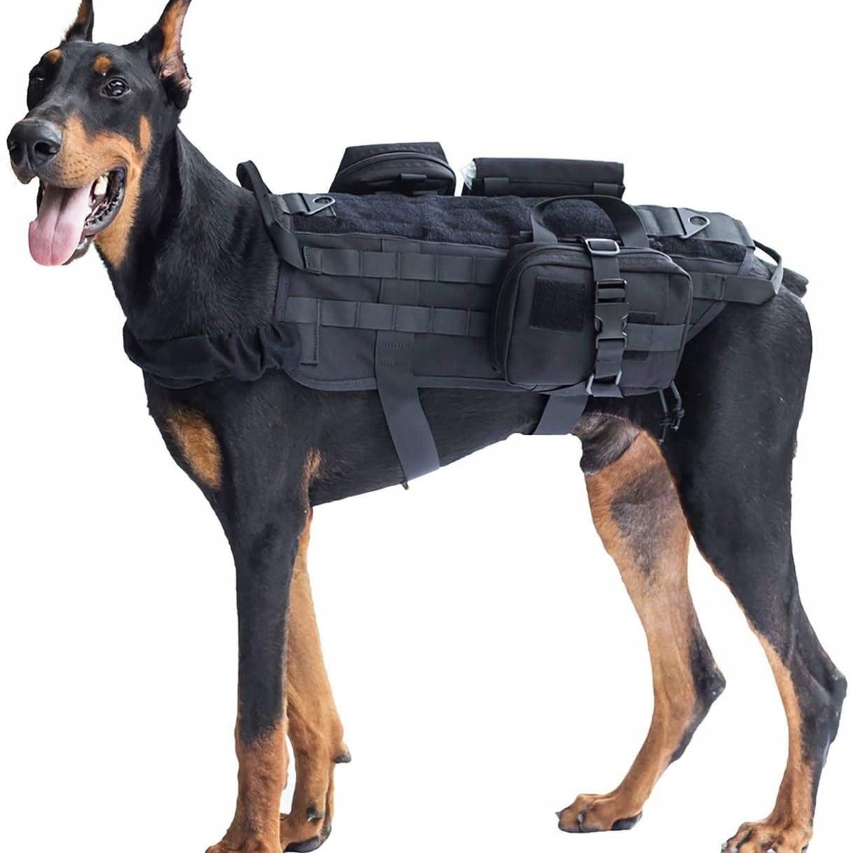 Levně Postroj pro psa Tréninkový taktický přepínací transportní postroj L