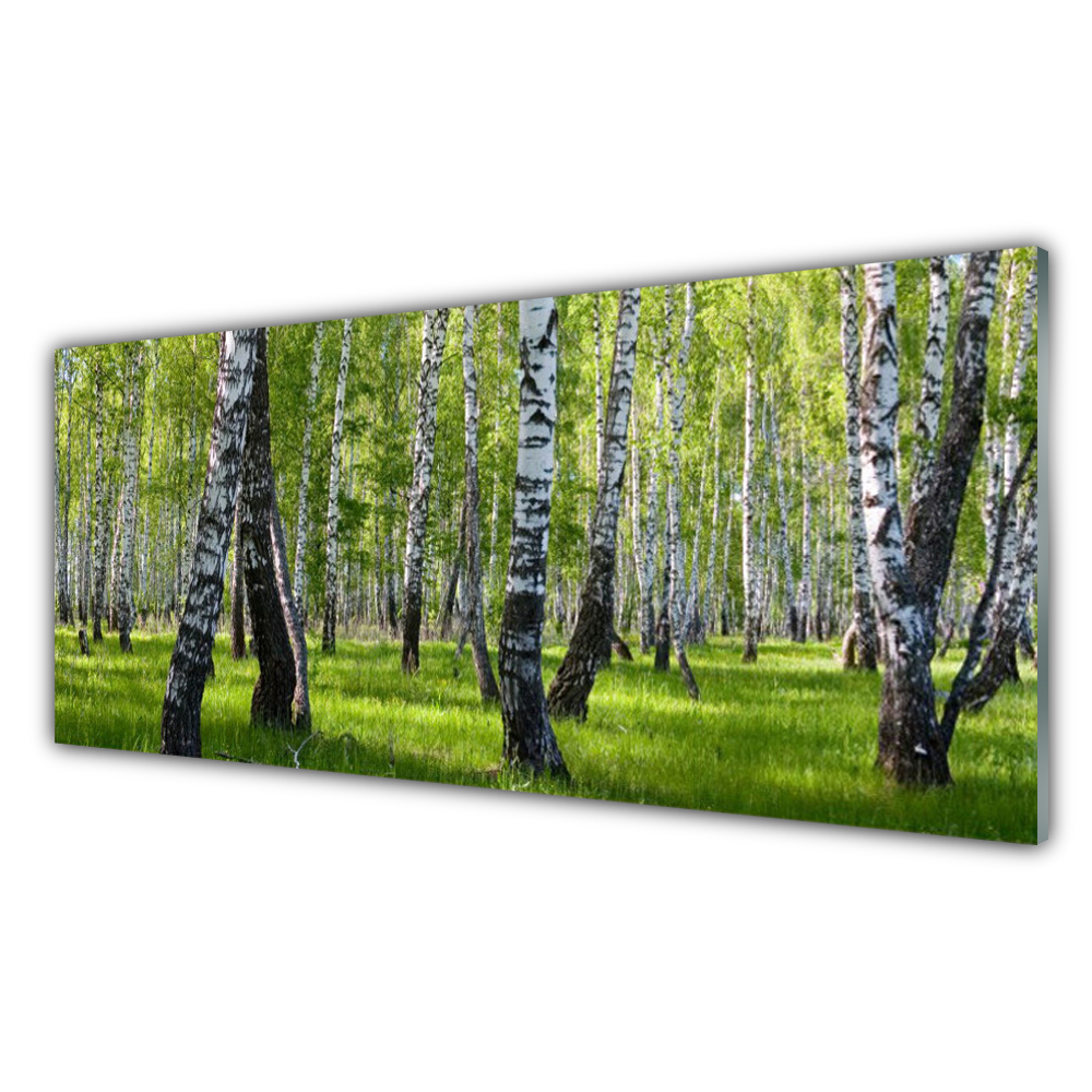 

Fotoobraz akryl wiszący 125x50 Las Drzewa Natura
