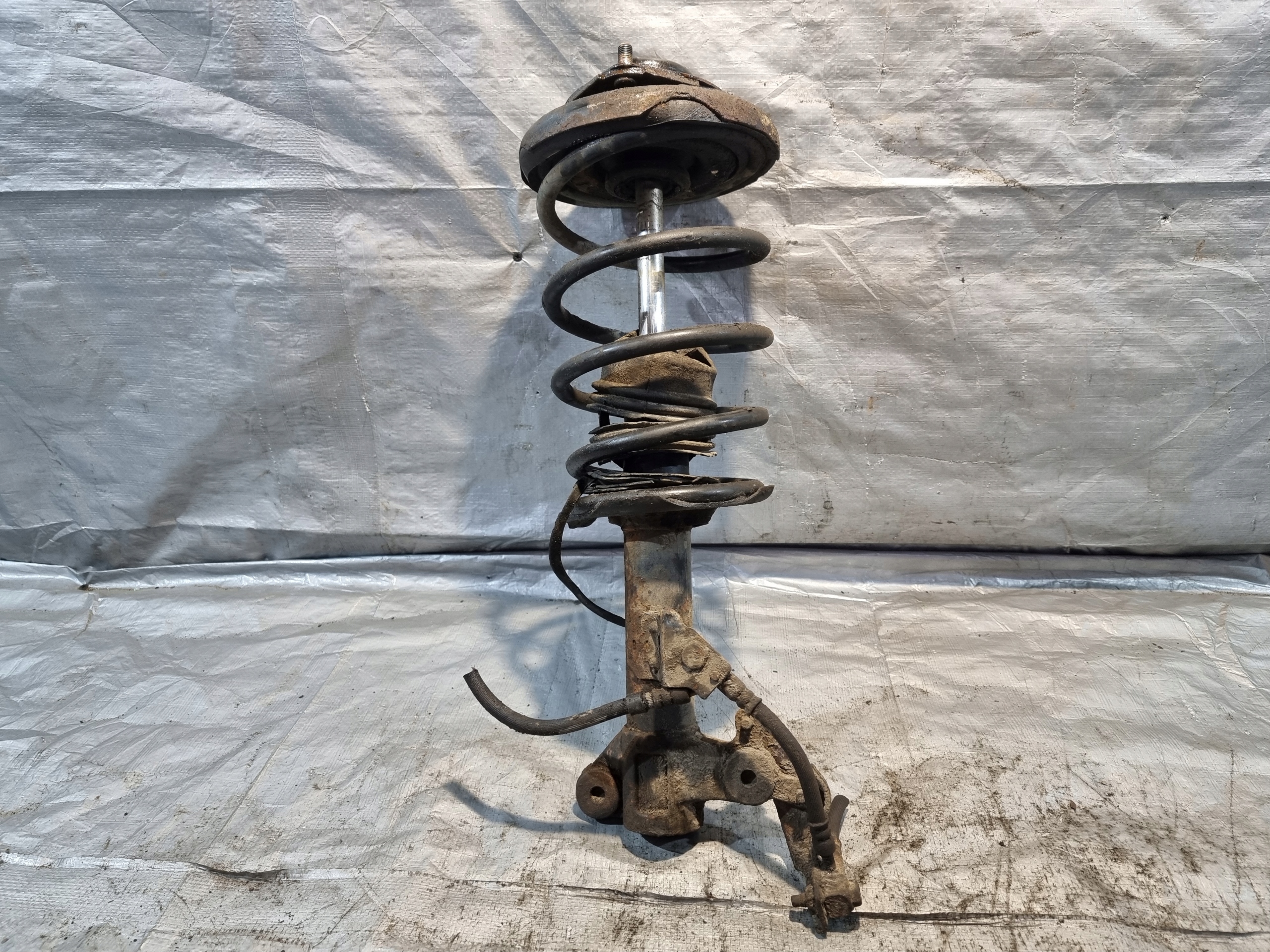 shock absorber McPherson left front NISSAN PRIMERA P12 III 1.8B 04r
