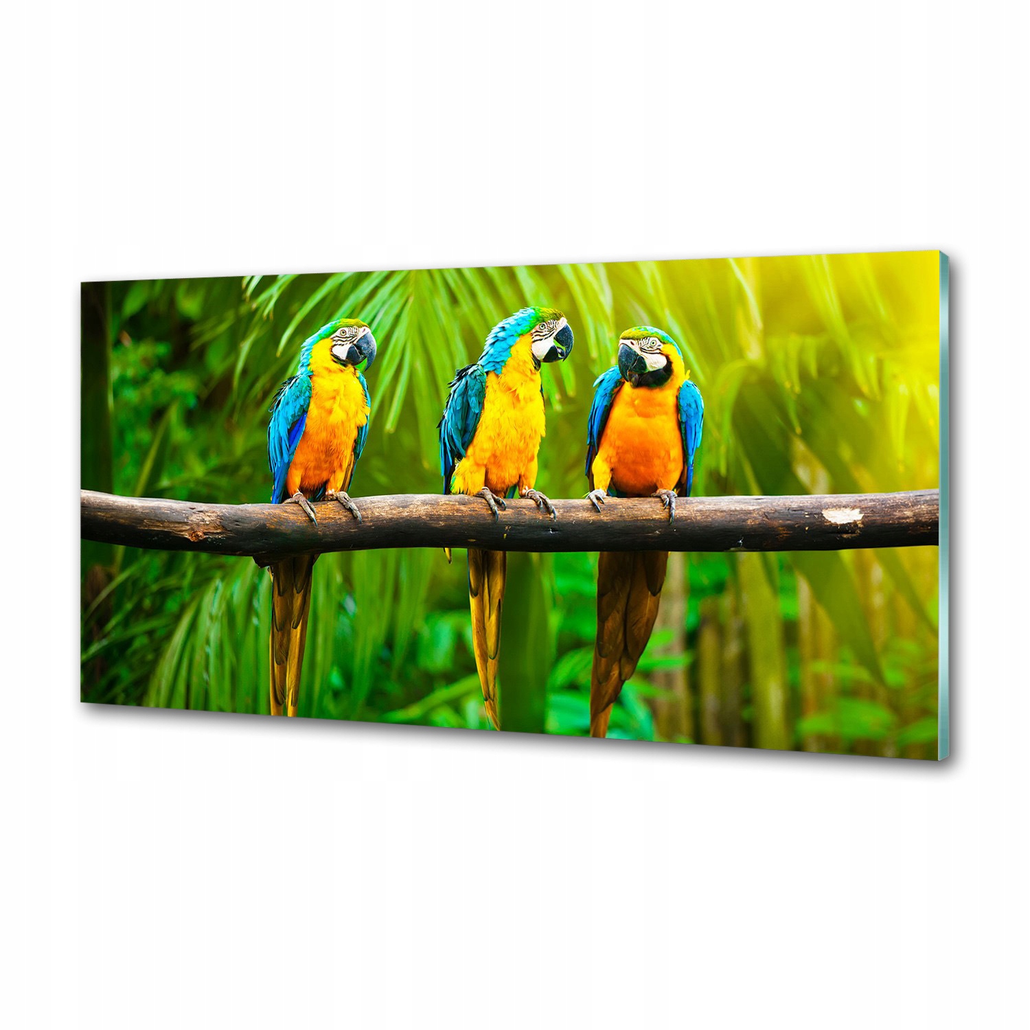 Panel do kuchyne Papagáje na vetve 120 x 60 cm Lepidlo