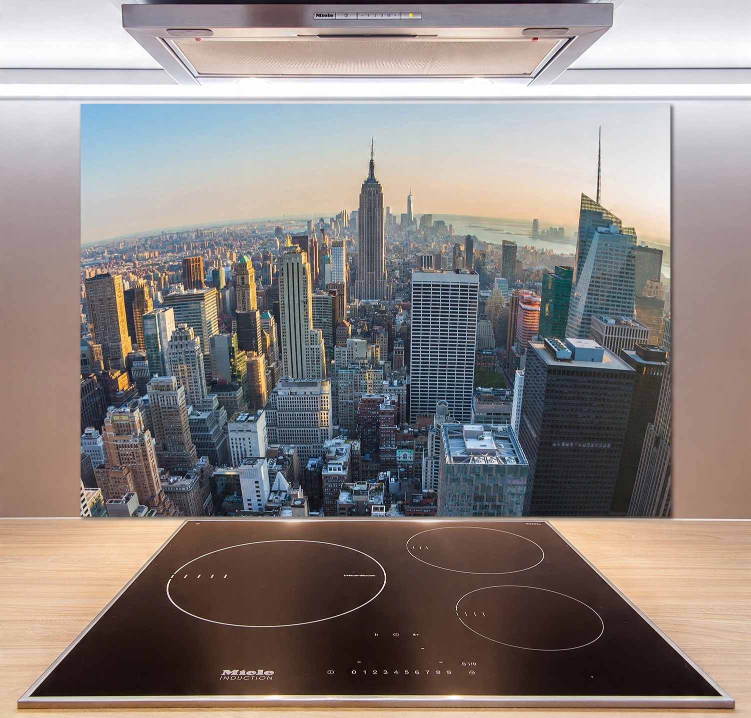 

Panel lacobel Manhattan Nowy Jork 100x70 cm + Klej