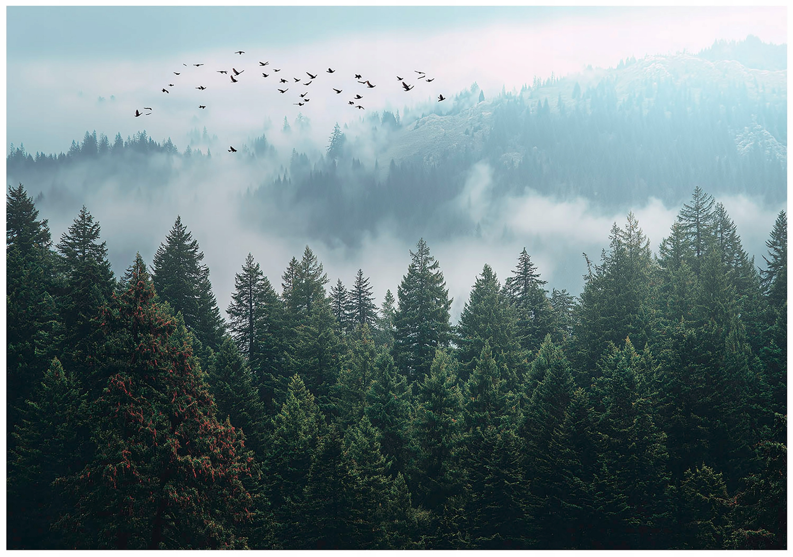 Fototapeta Zelená 3D Les Horná Tapeta Do Predsiene Kancelárie 350x250