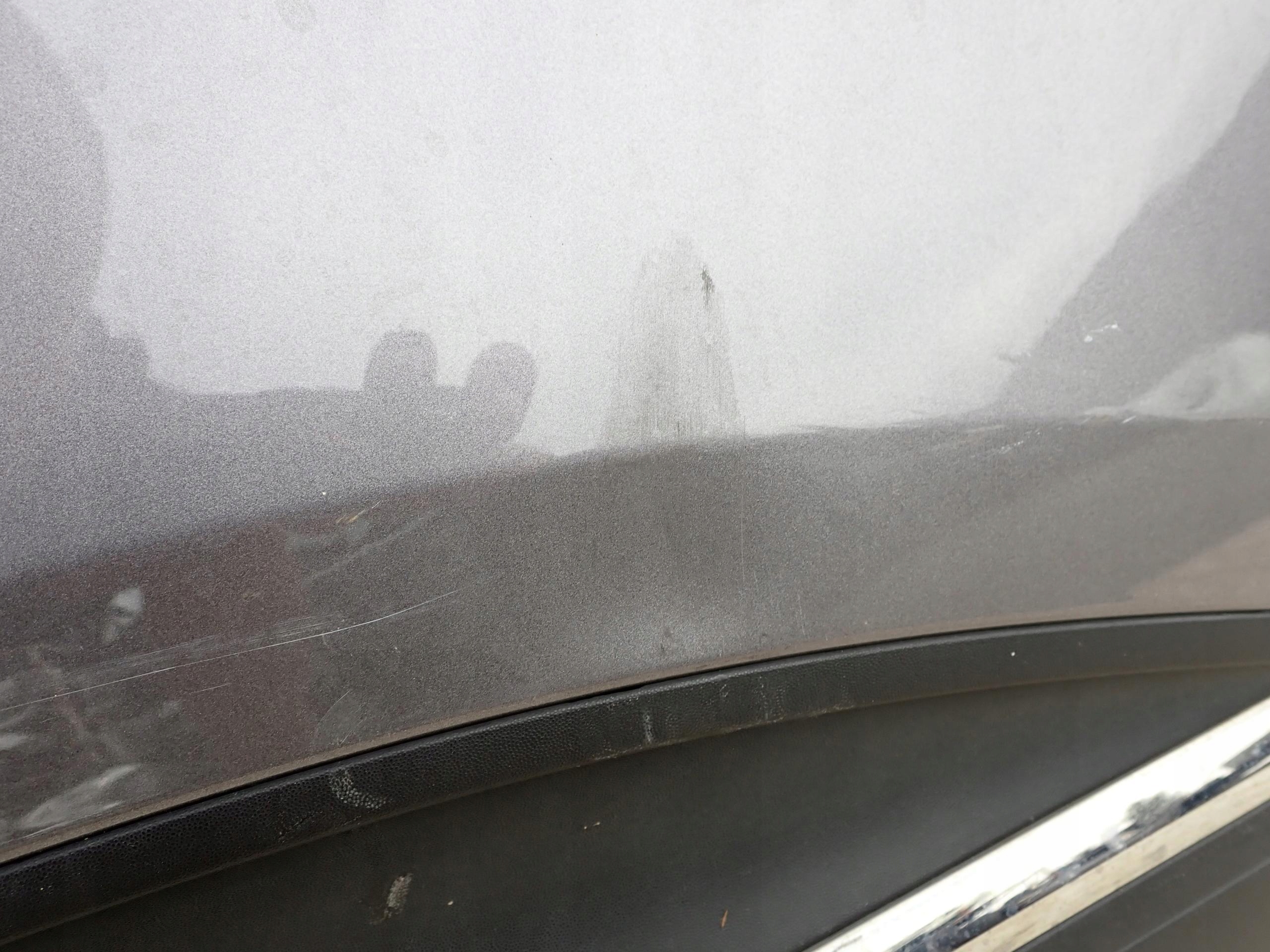 RENAULT SCENIC IV 16-> Tür links heck hinten