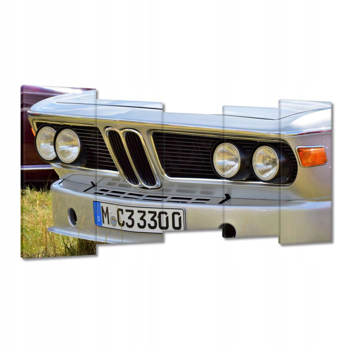 Obrazy 150x80 Bmw Skutečný žralok
