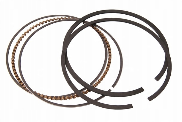 

Pierścienie Briggs B&s 675 650 68,3 mm 795431