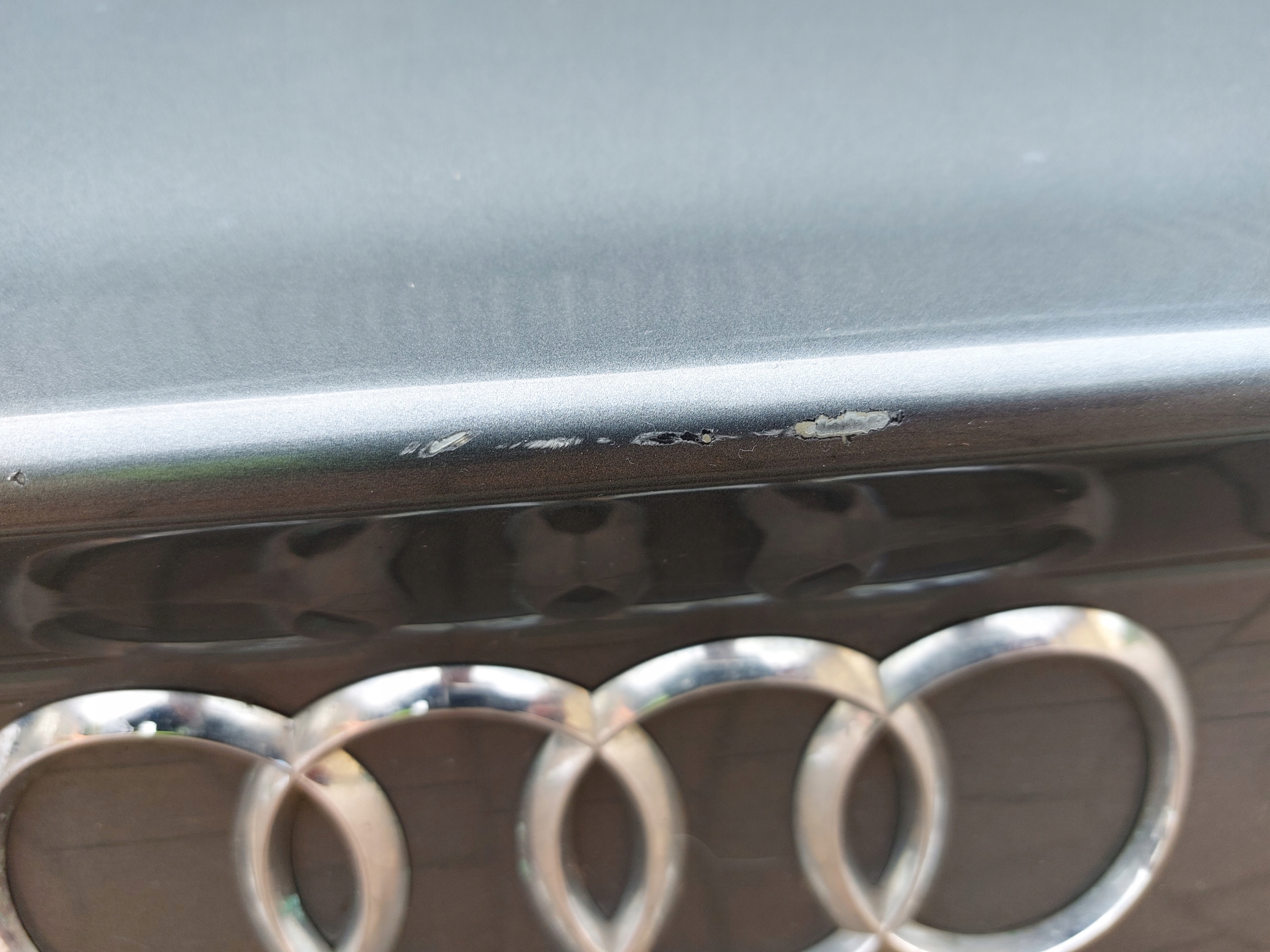 boot door AUDI A5 8T SPORTBACK grey 11r