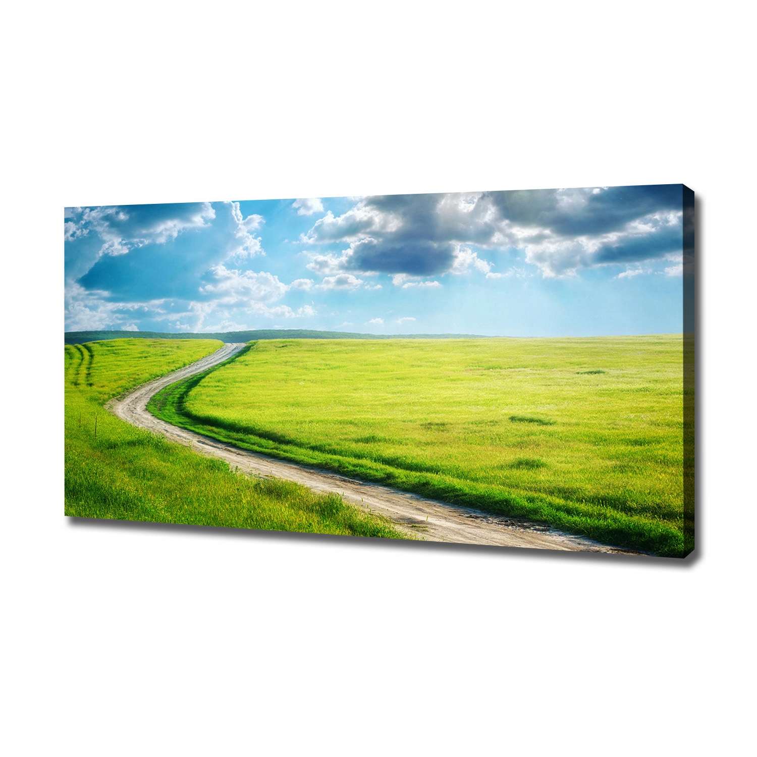

Foto obraz na płótnie Ścieżka na łące 120x60 cm