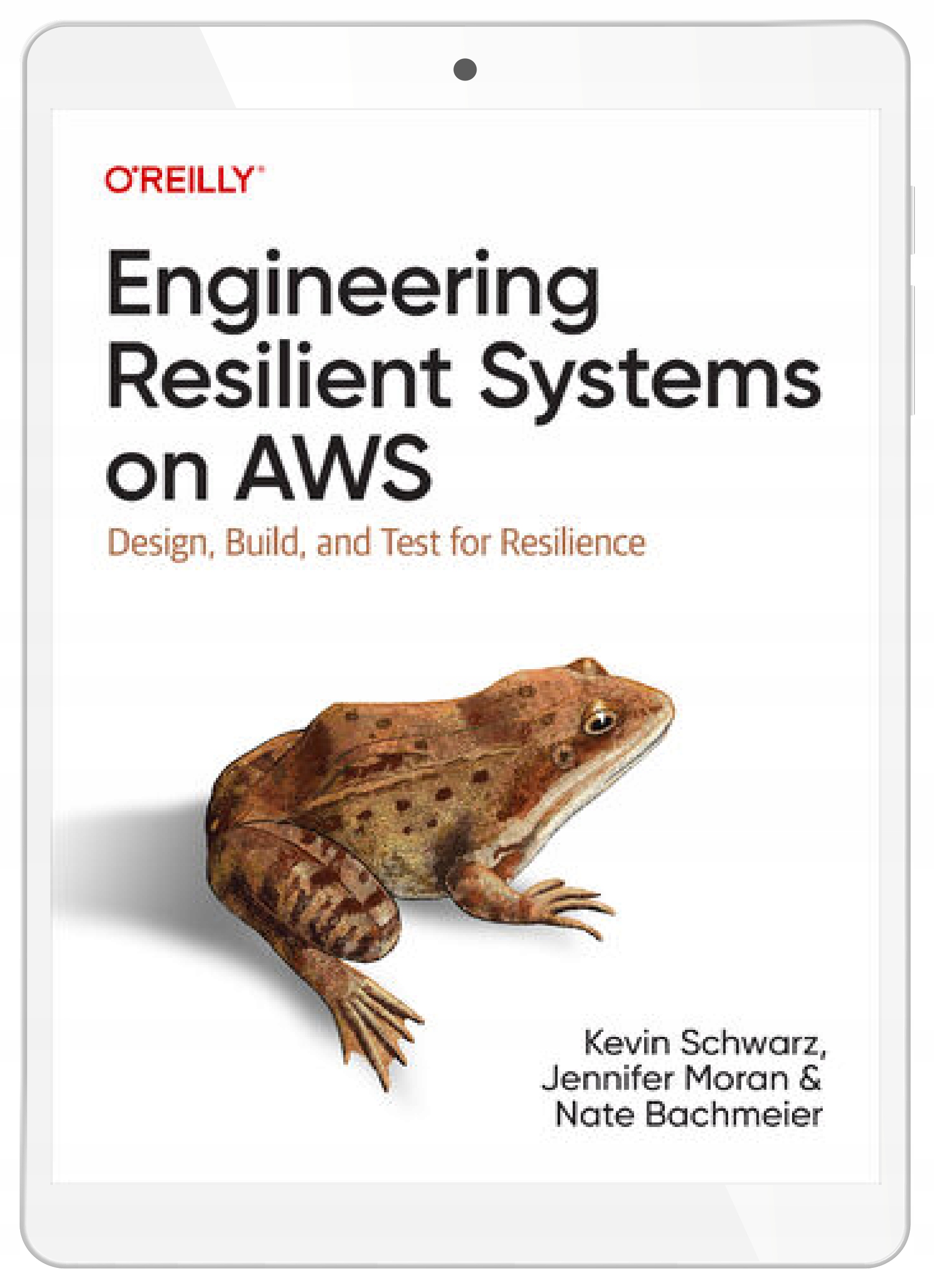 Engineering Resilient Systems on AWS