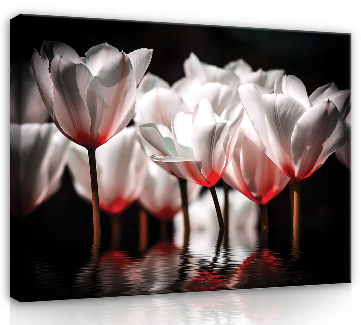 Obraz Na Plátně Canvas 100x75 Květiny Tulipány