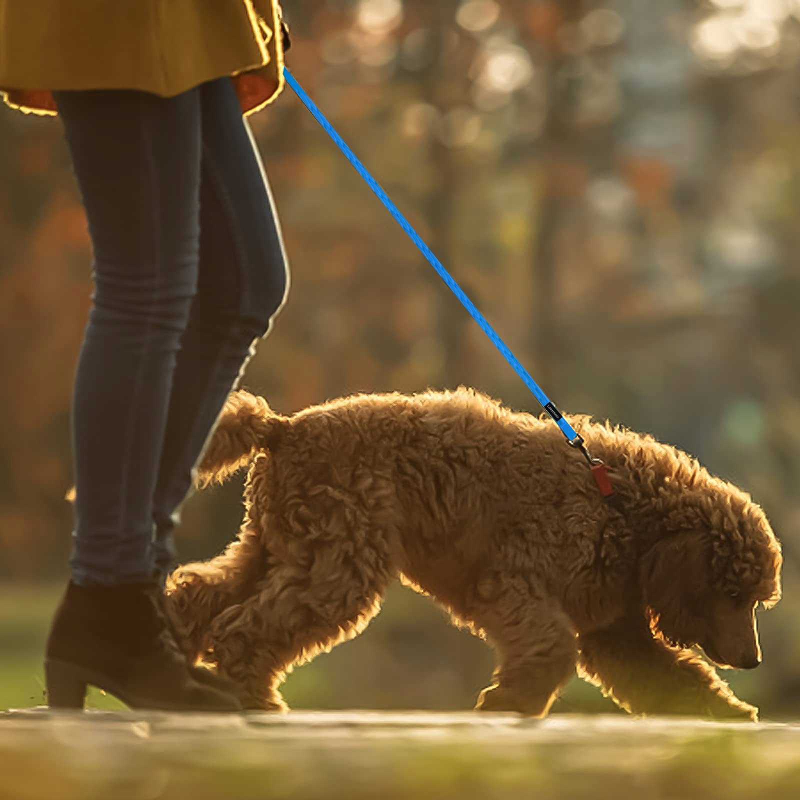 LOOXMEER Wytrzymała Smycz Treningowa Dla Psów Neon Niebieska 10 Metrowa — miniatura 13