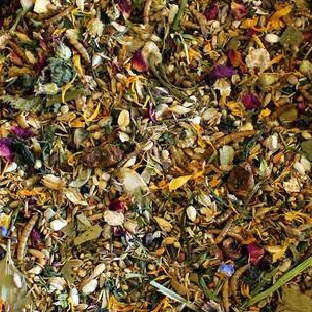 FutterParadies ASB ZwerghamsterMenu 500g karma dla chomika dżungarskiego