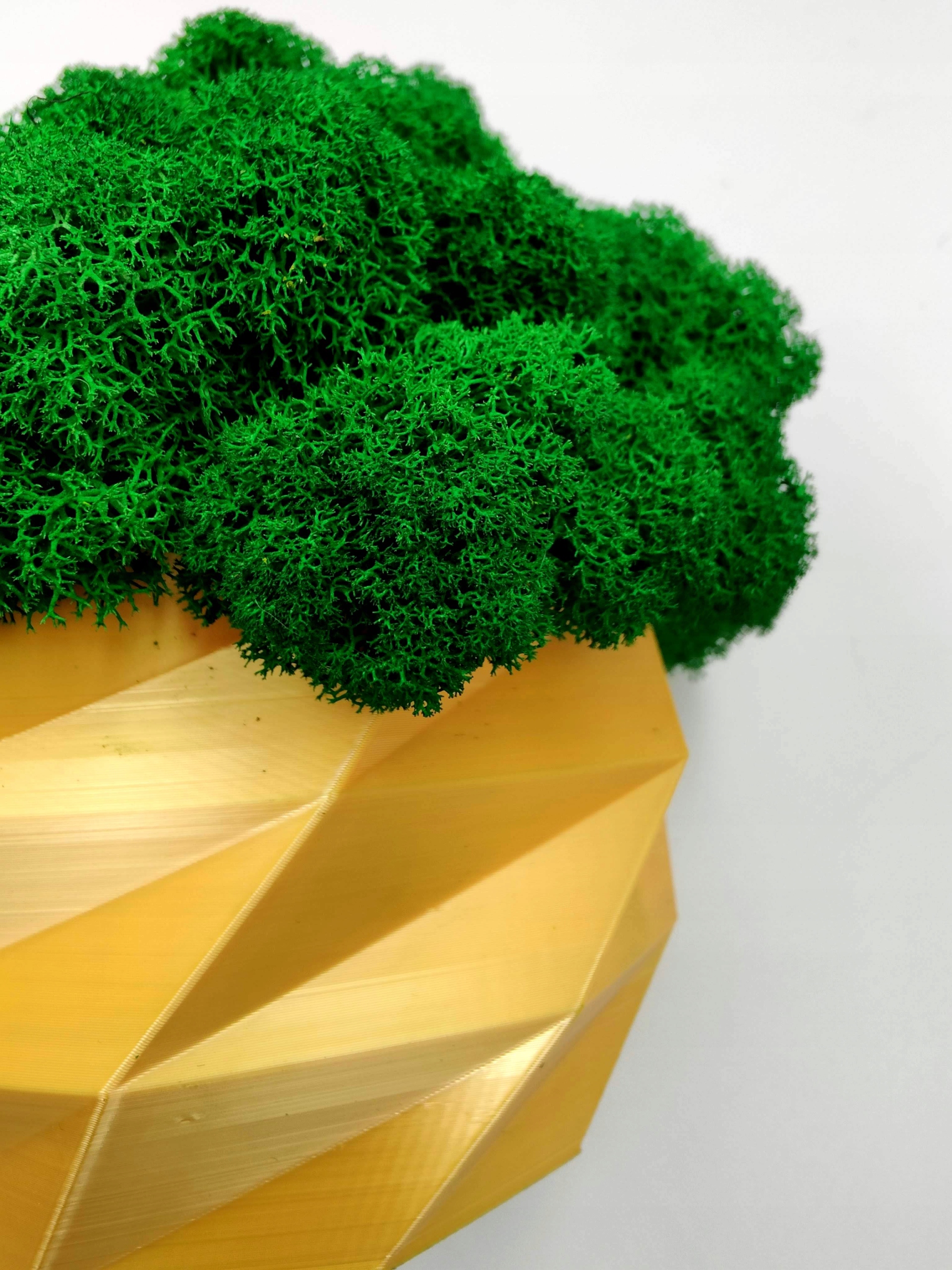 Doniczka z mchem chrobotkiem 18cm MECH CHROBOTEK w doniczce złota druk 3d Forma w doniczce, pojemniku