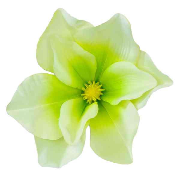 

Magnolia główka satyna Green Sztuczne kwiaty