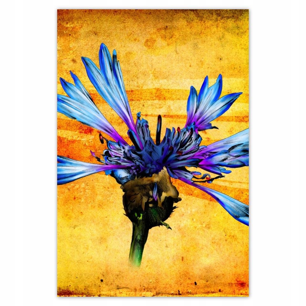 

Plakaty 40x60 Chaber