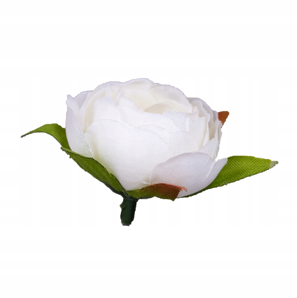 

Kamelka główka biała wyrobówka do stroika