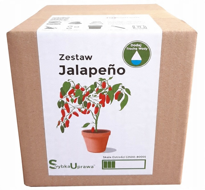 

idealny prezent na Dzień Ojca papryka Jalapeno 03