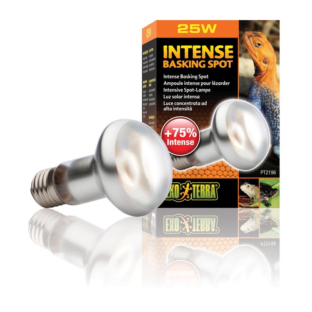 

Żarówka punktowa Intense Basking Spot 25W ExoTerra