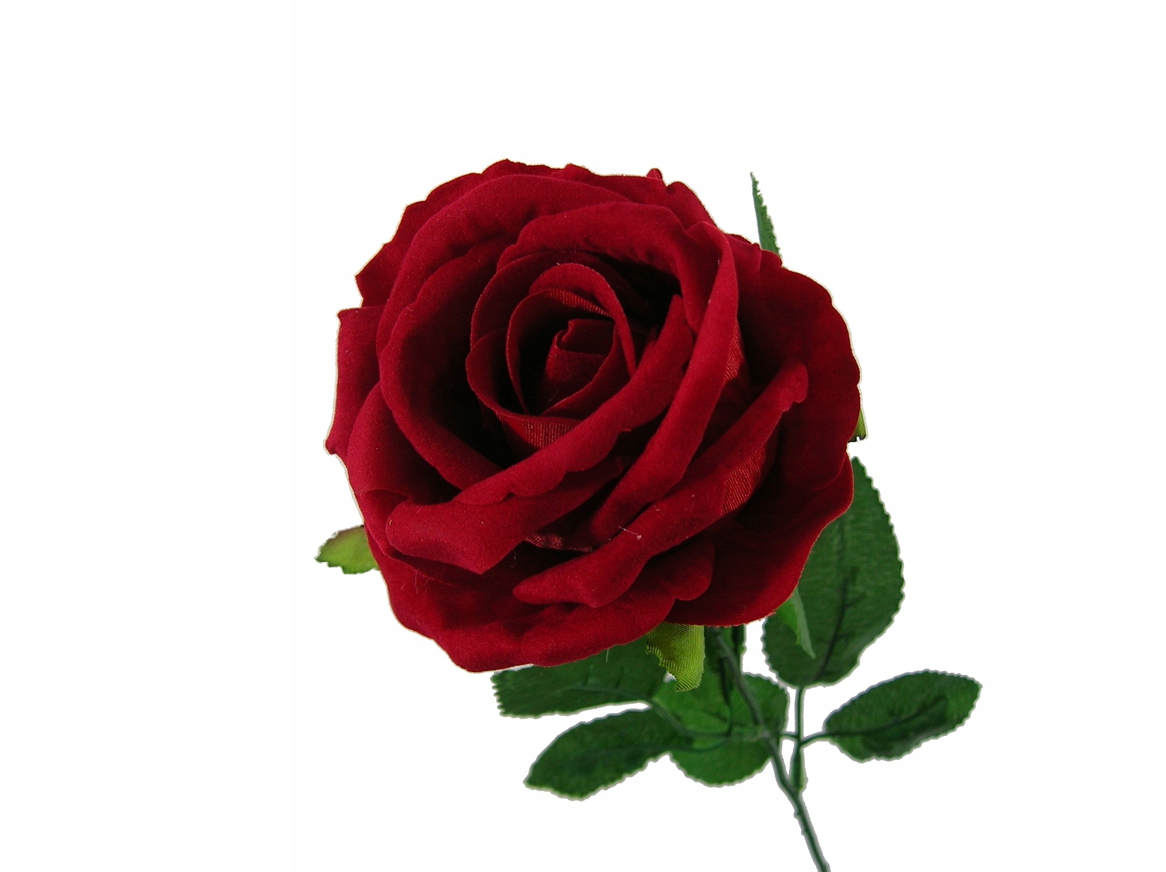 

Róża Ciemno Czerwona Welur Welwet Gałązka h 62CM