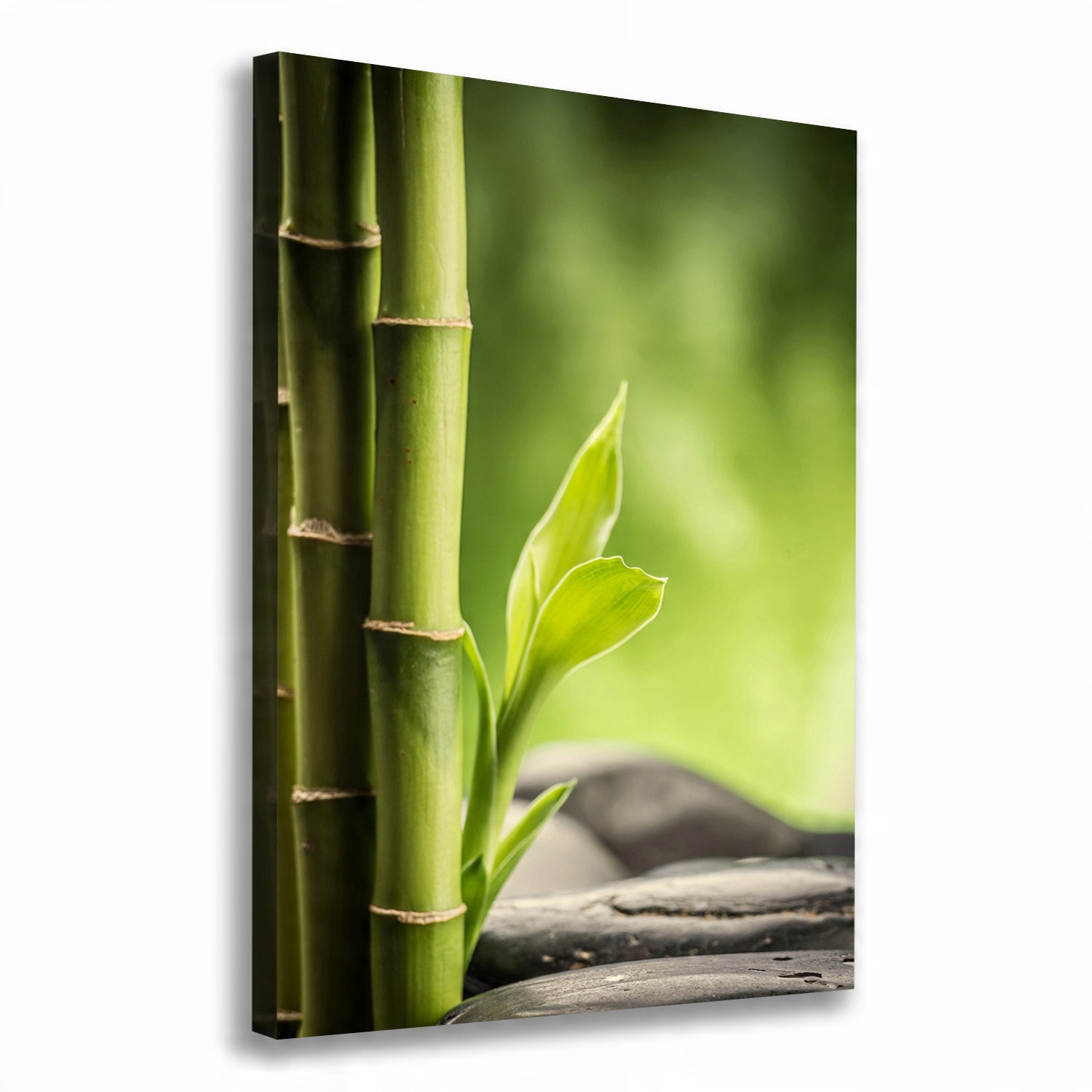 

Nowoczesny fotoobraz canvas na ramie Bambus 70x100