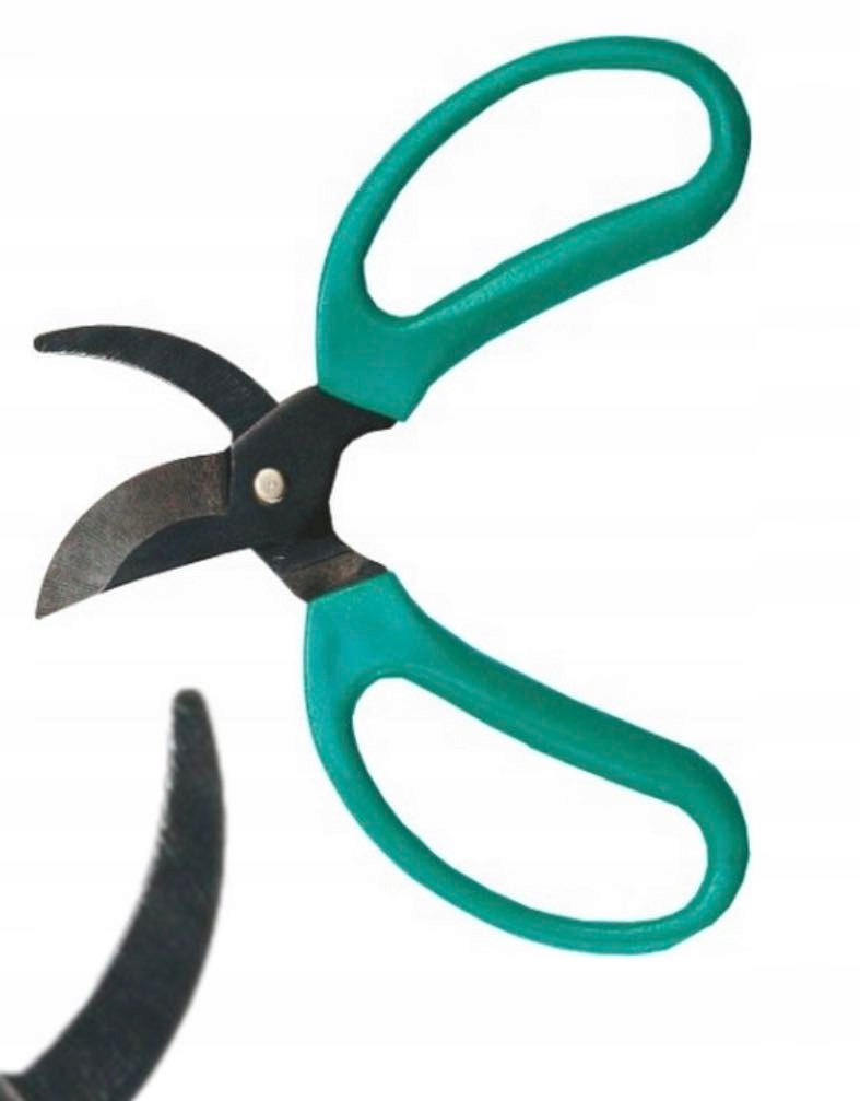 NOŻYCZKI SEKATOR DO PIELĘGNACJI ROŚLIN DOMOWYCH Marka inna