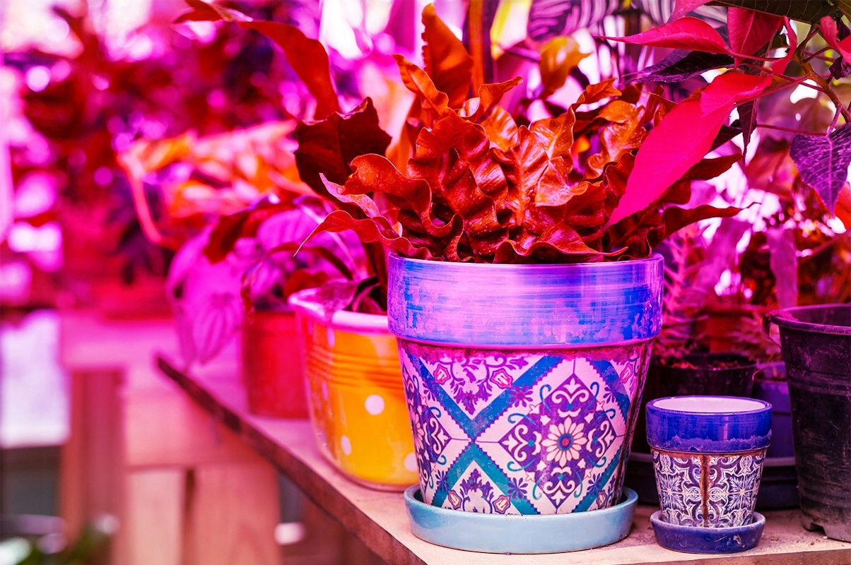 Lampa LED do GROW BOX wzrostu uprawy roślin 225LED Typ oświetlenia GROW