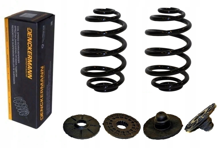 ALL2556 - пружины + резина RENAULT CLIO II задний комплект