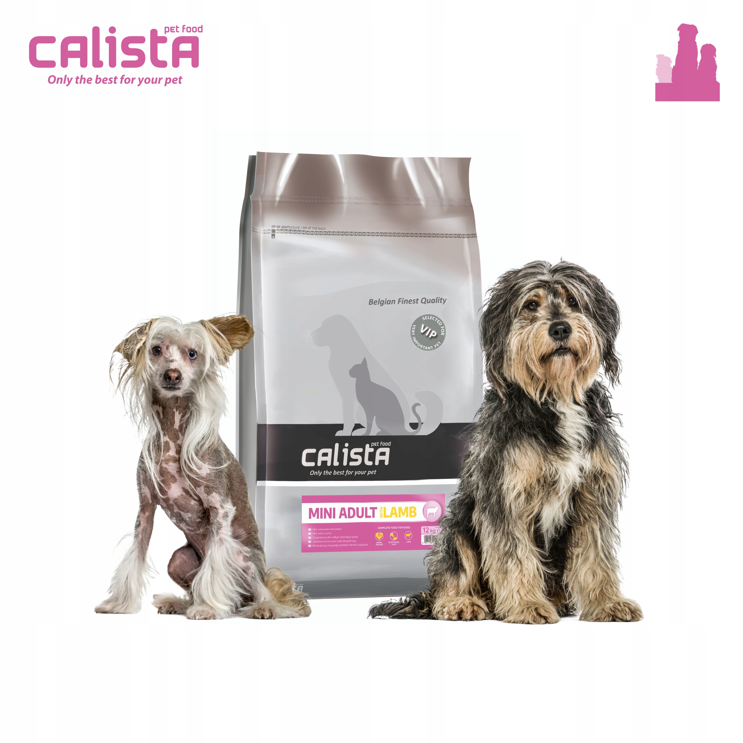 Levně Calista Suché Krmivo Pro Psy Malých Plemen Jehněčí 12 Kg York Beagle Buldog