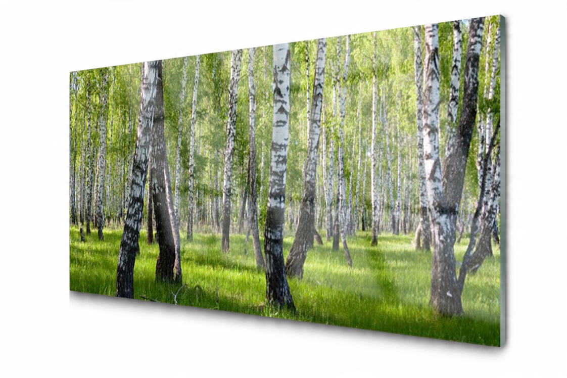 

Panel szklany dekoracyjny Las Brzozy 100x50