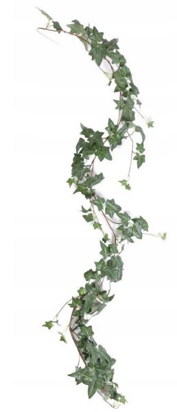 

Girlanda Hedera bluszcz liście ozdoba Zwis 160 cm