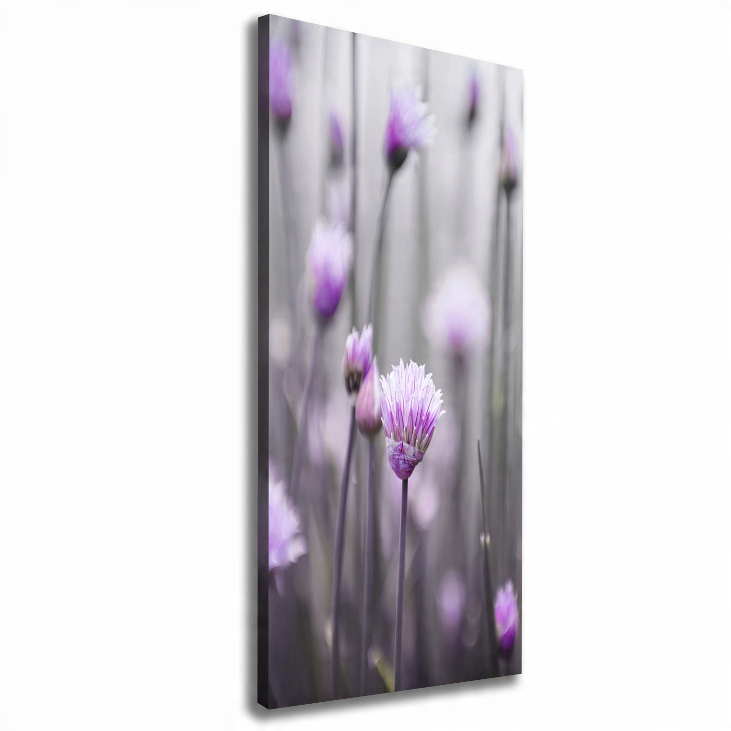 

Foto obraz na płótnie Kwiaty szczypiorku 50x125 cm