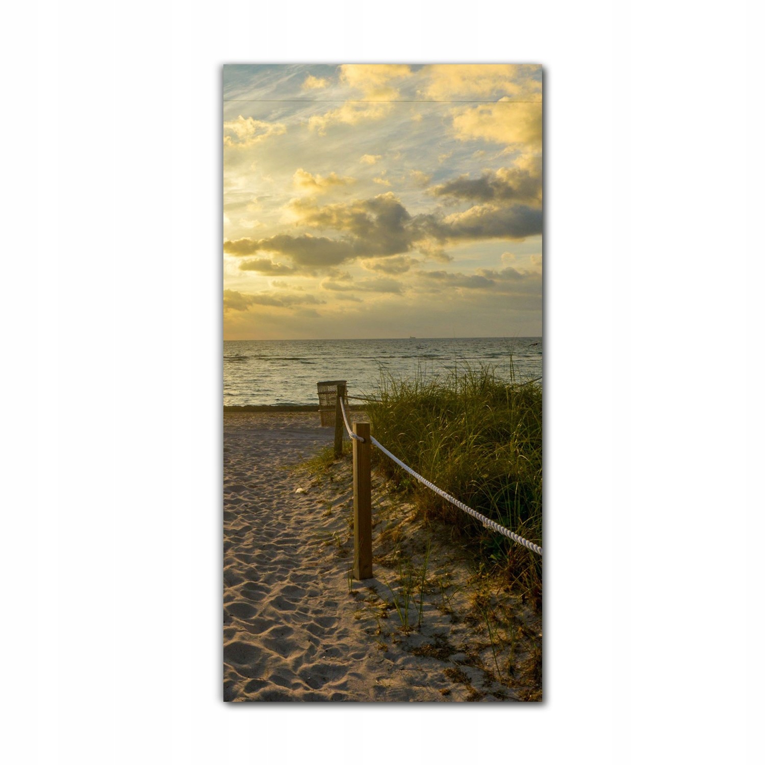 

Foto szklane na ścianę 70x140 Plaża Miami słońce