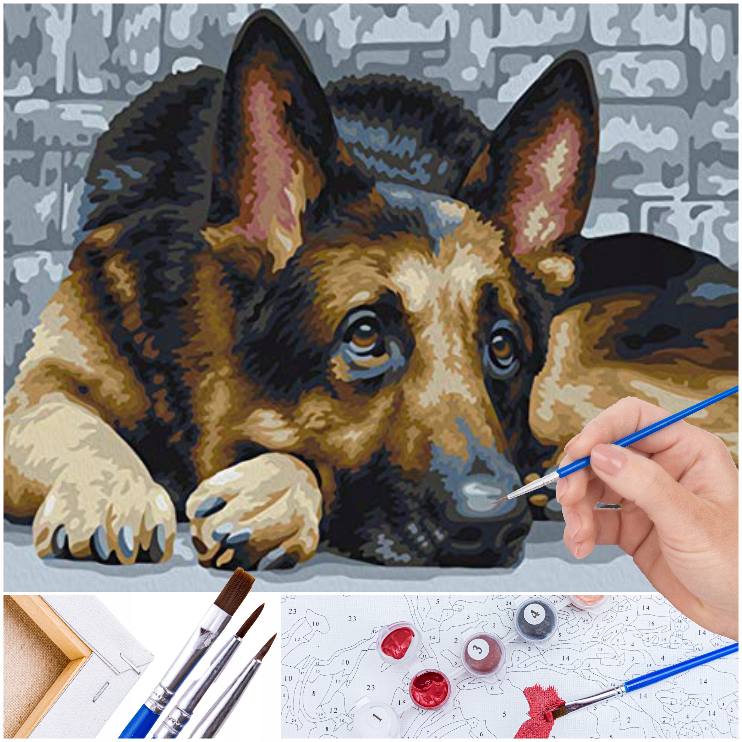 ZESTAW MALOWANIE PO NUMERACH PIES Obraz do Malowania Rama z DREWNA PĘDZELKI