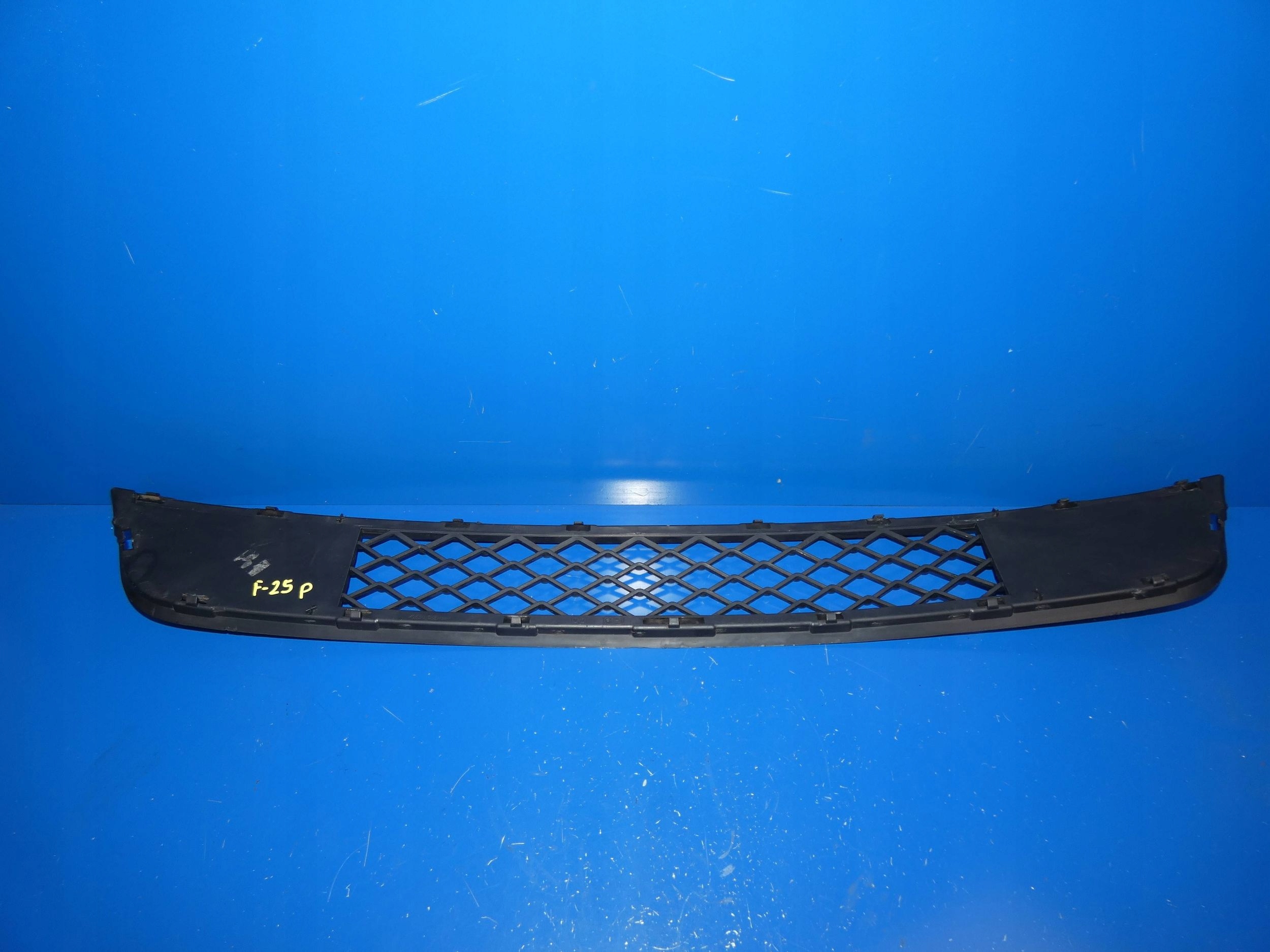 BMW X3 F25 grid of a bumper lower front front