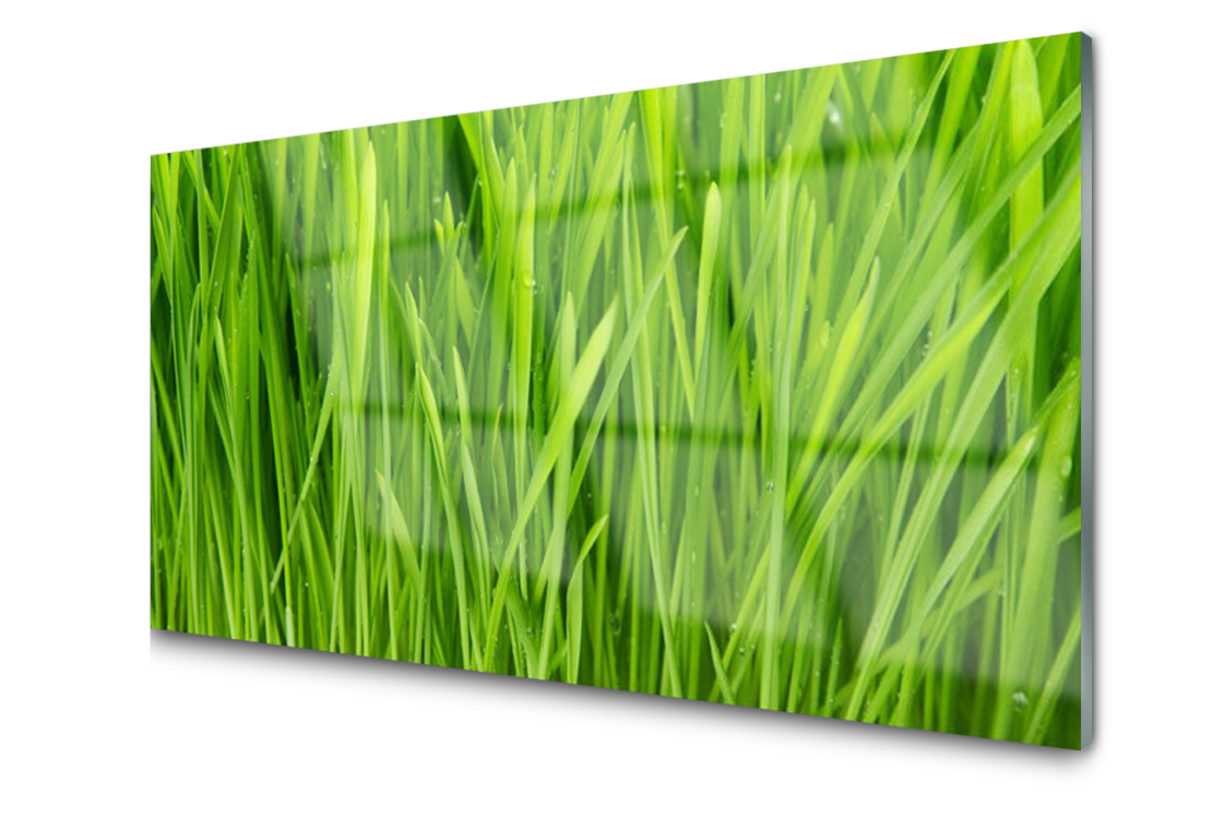 

Panel szklany dekoracyjny Trawa Roślina 100x50