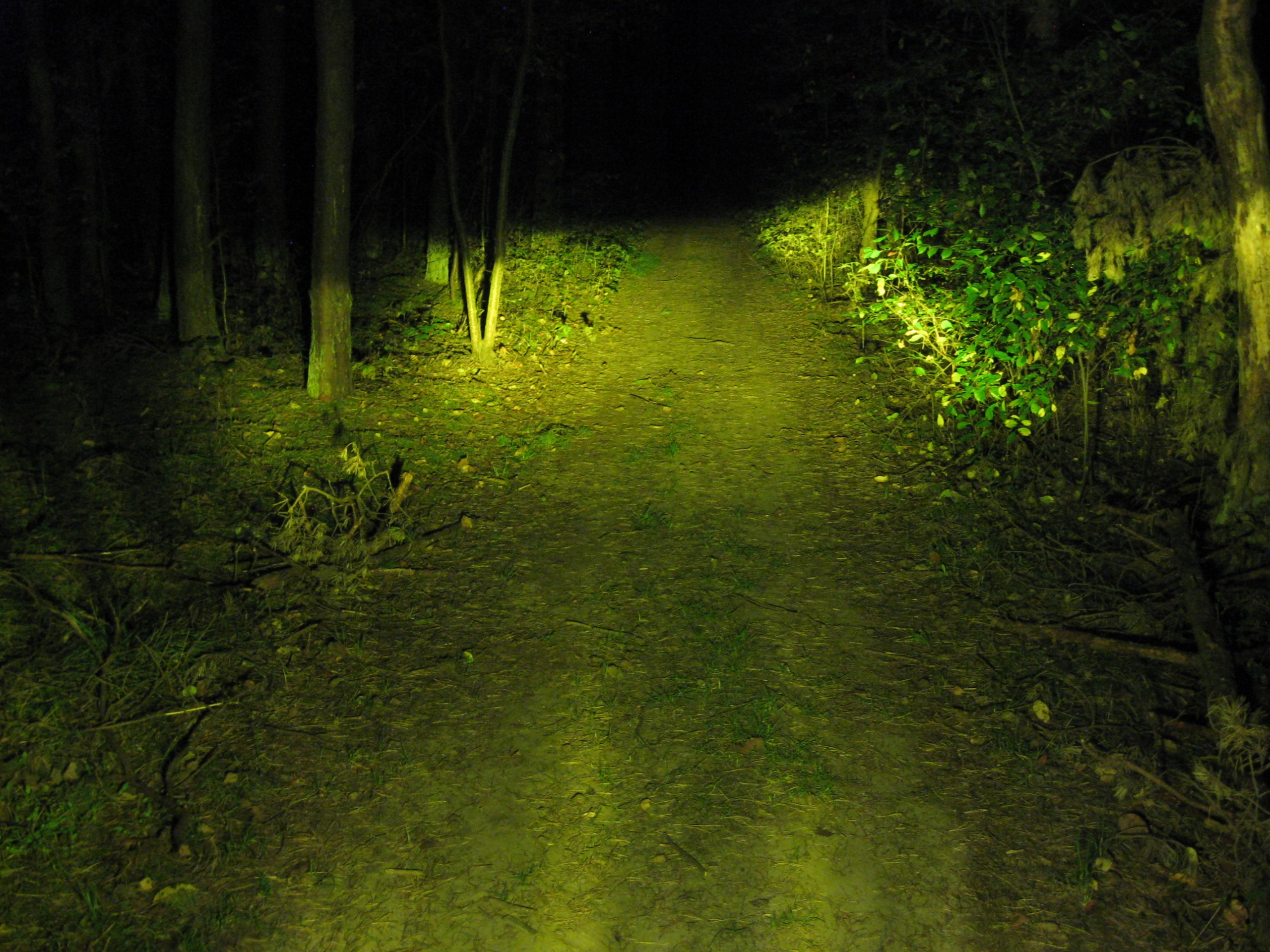 Żarówka LED żółta R2 P45t 45/40W 12V 24V DC 2CV EAN (GTIN) 5905515710800