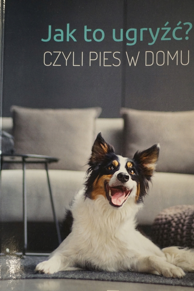 JAK TO UGRYŹĆ ? CZYLI PIES W DOMU MAGDALENA ŁĘCZYC