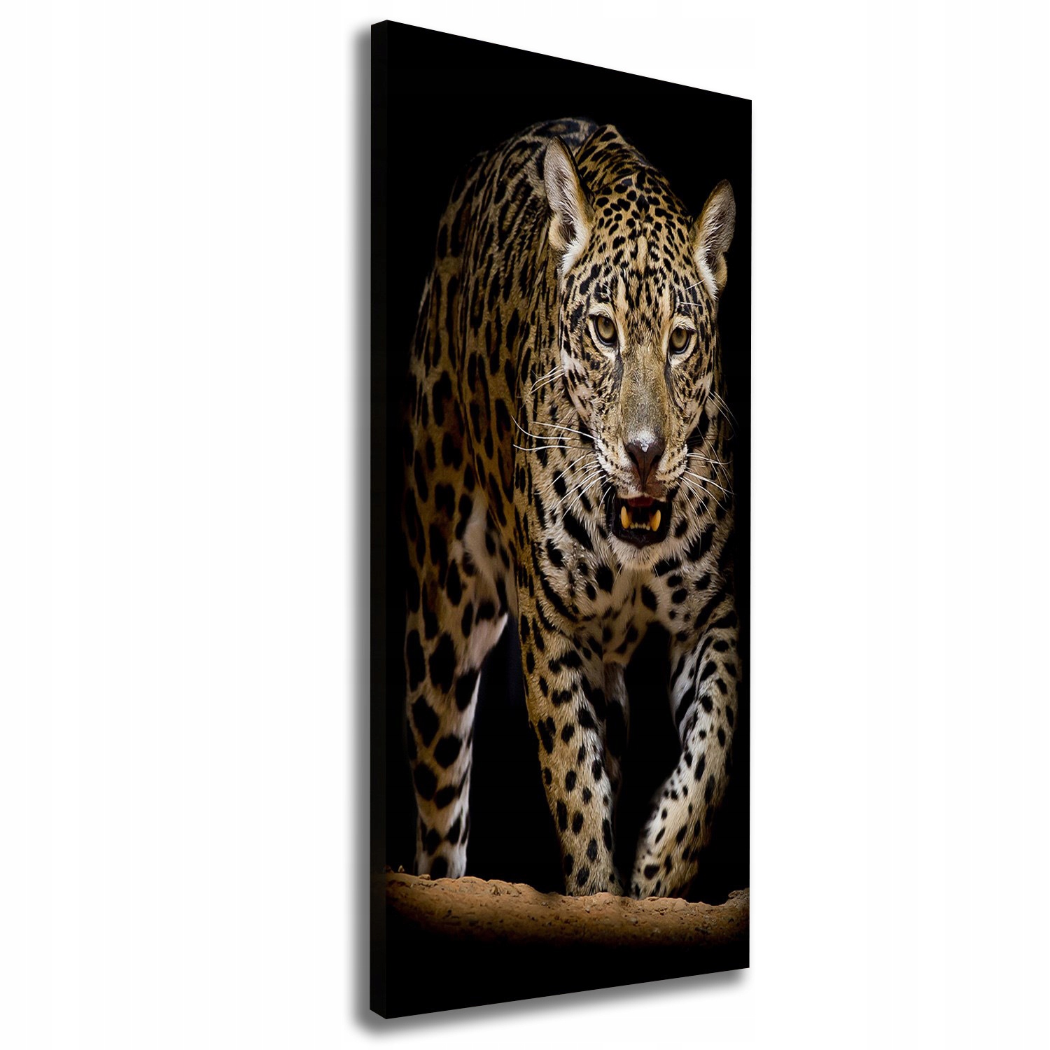 

Nowoczesny fotoobraz canvas na ramie Jaguar 50x125