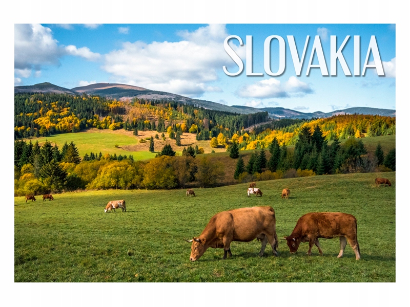 

Słowacja Góry Krajobraz Magnes na lodówkę