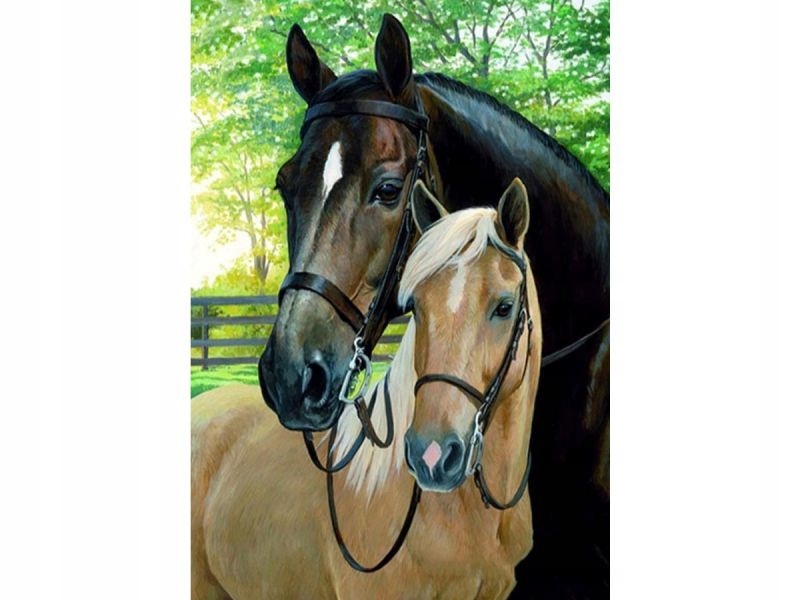 Obraz Malování Podle Čísel Rám 40x50cm Koně