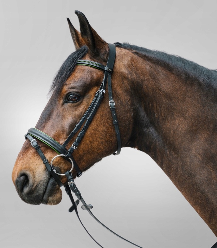 Ogłowie Star Diamant Waldhausen black/green Cob