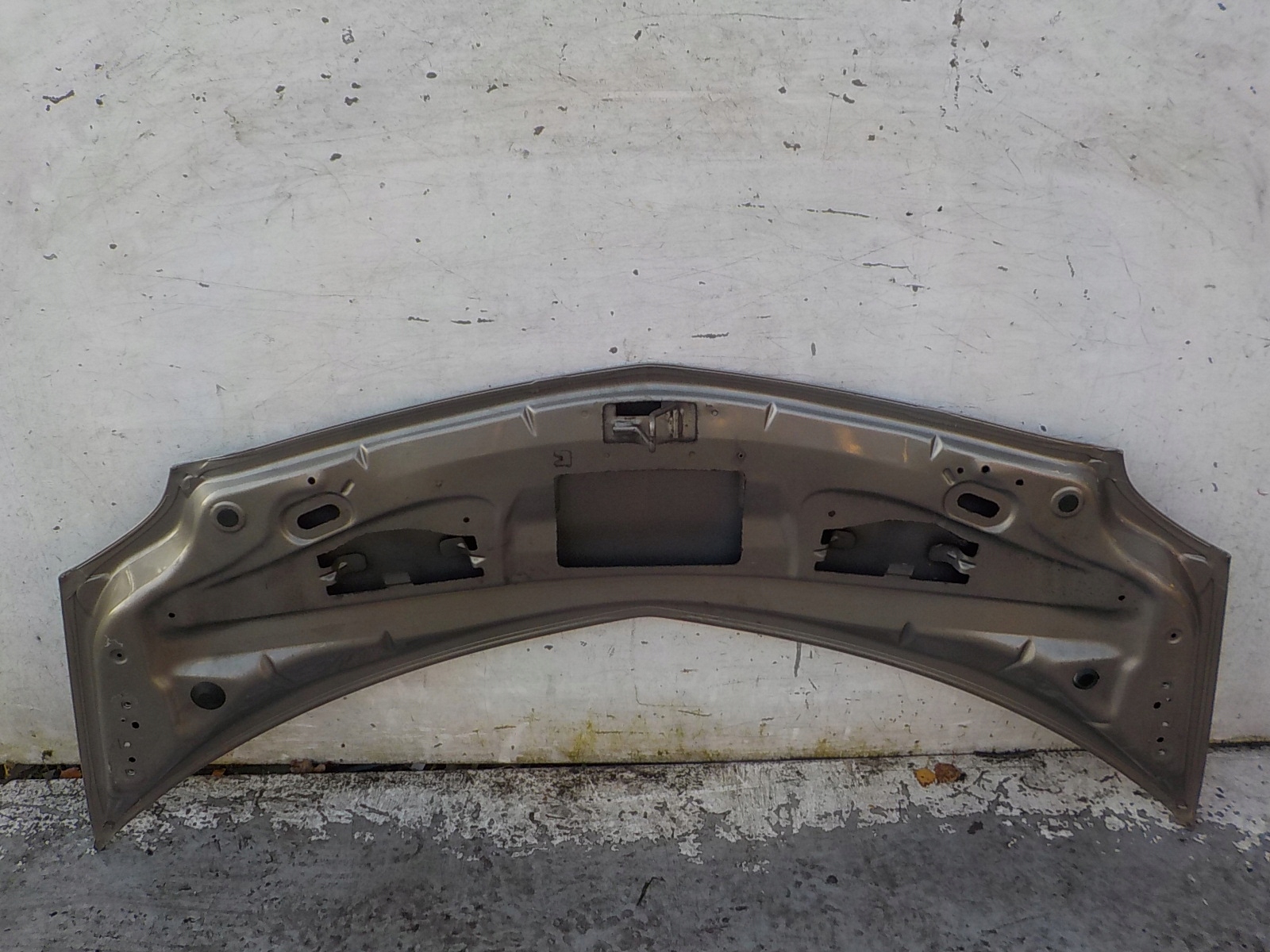 301 RENAULT MODUS LIFT Cofano
