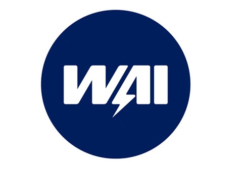 Elektromagnes rozrusznika Audi Seat Skoda Volkswagen 66-91141 WAI Numer katalogowy części 66-91141